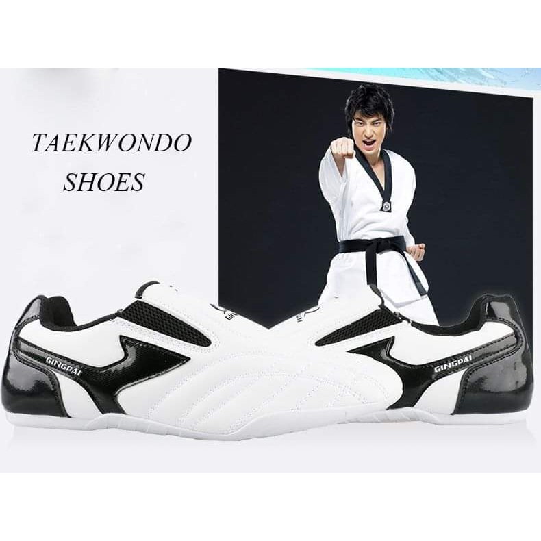 Giày Taekwondo mẫu mới 2020