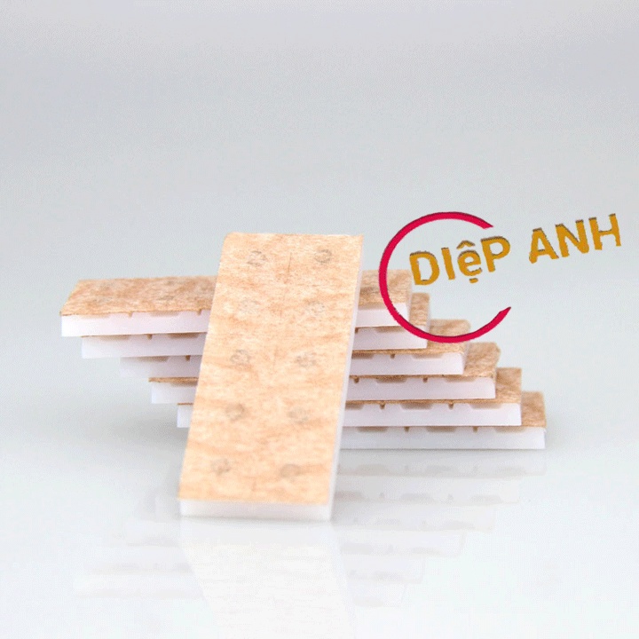 Kim nhĩ châm Lạc Á hộp 100 kim kích thước 0.25*1.3mm