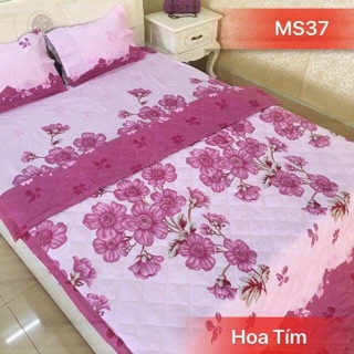 Sét chăn ga gối 5 món m6*2m, m8*2m