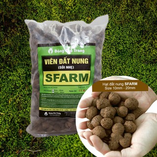 VIÊN ĐẤT NUNG (SỎI NHẸ) SFARM 5DM3 (KT 10-20MM)