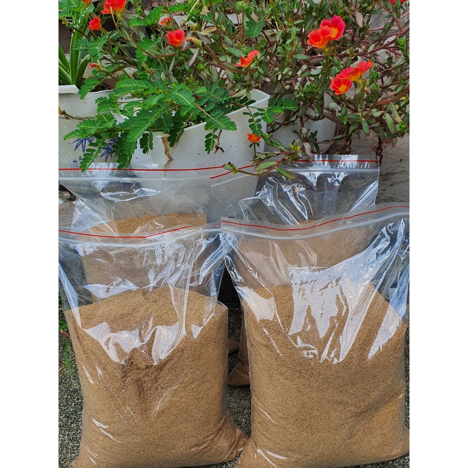 Cám thơm câu chép, rô, trắm