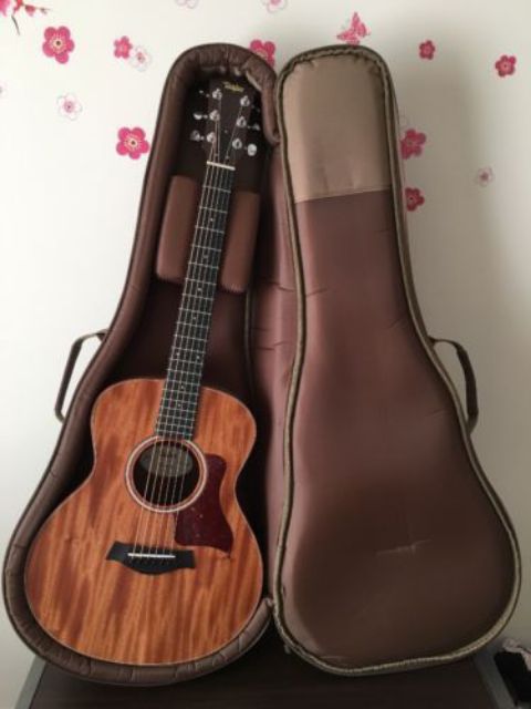 Đàn guitar Taylor GS Mini đi kèm bao đàn cứng