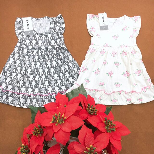 Đầm cánh tiên Carter’s sz 2-6t