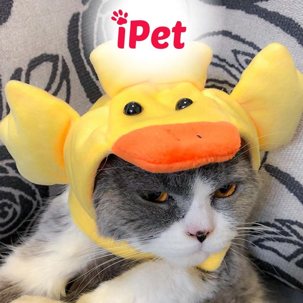 Nón Cho Chó Mèo Cosplay, Mũ Thú Cưng Dễ Thương - iPet Shop