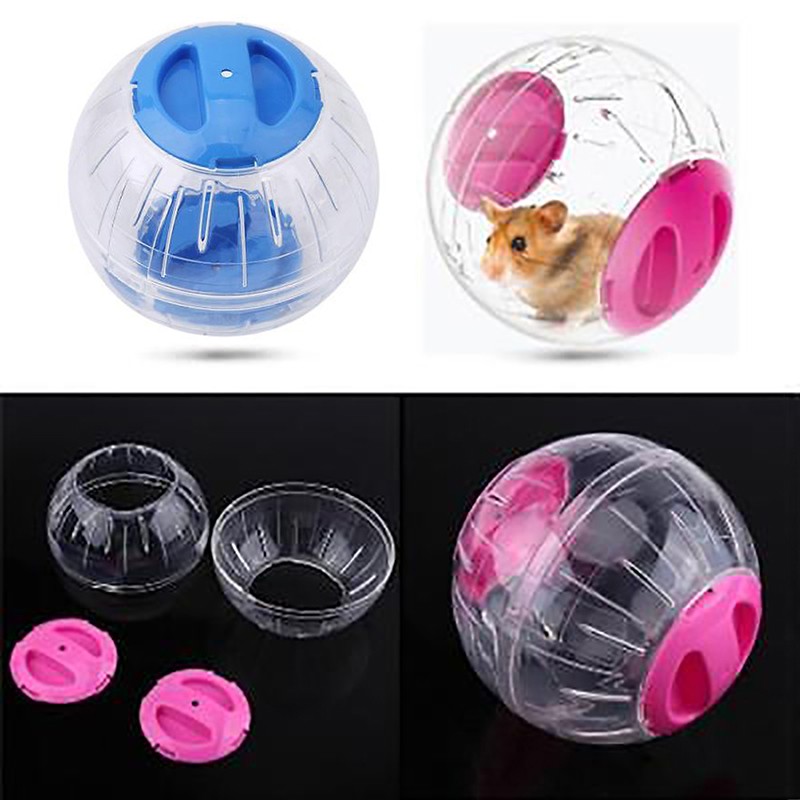 Đồ Chơi Bóng Chạy Bằng Nhựa Cho Chuột Hamster