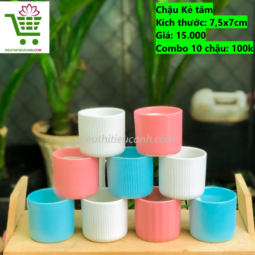 10 CHẬU SỨ HỎA BIẾN CAO CẤP TRỒNG SEN ĐÁ, XƯƠNG RỒNG, DECOR