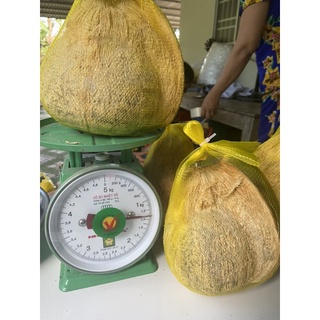 Dừa Sáp Cầu Kè- Loại 1 ( trái từ 1 kí - 1,4 kí)