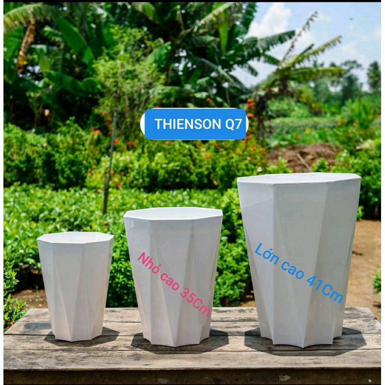 Chậu Nhựa Kim Cương 41*33Cm Xịn & Dày 8 Cạnh Trồng Cây