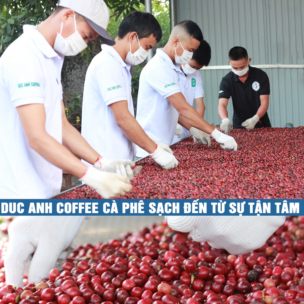 1kg Cà Phê Xay Pha Phin D73 (70% Robusta+30% Arabica) Rang Mộc Nguyên Chất Cafe Tỉ Lệ 7-3 Từ Công Ty Cà Phê Đức Anh