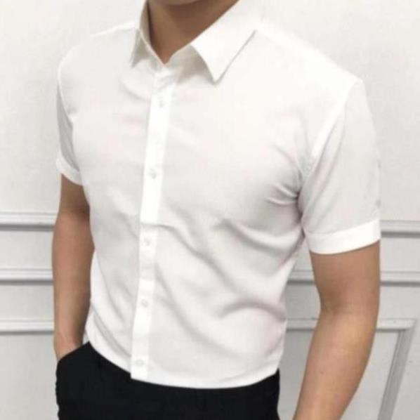 Áo sơ mi nam Cộc Tay Trắng F8888 loại đẹp