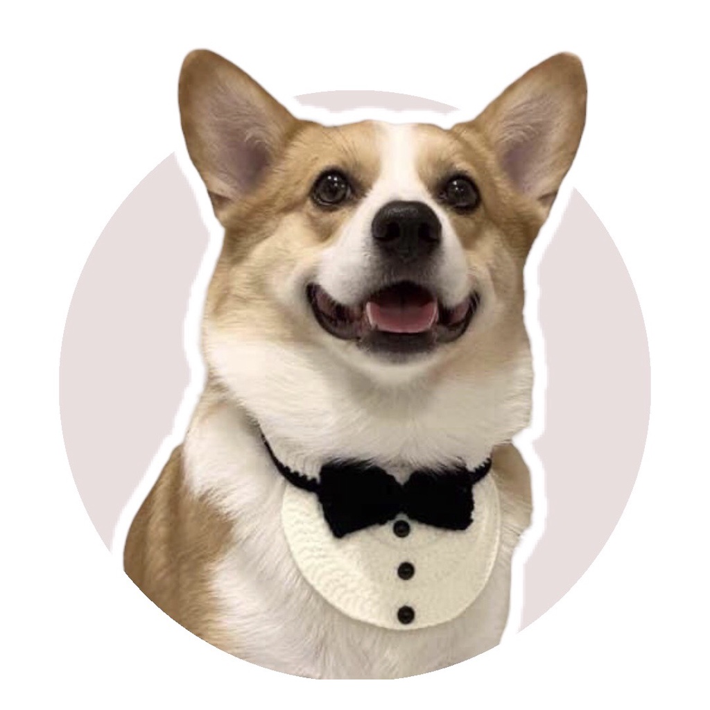 Vòng cổ len handmade cho CHÓ/MÈO