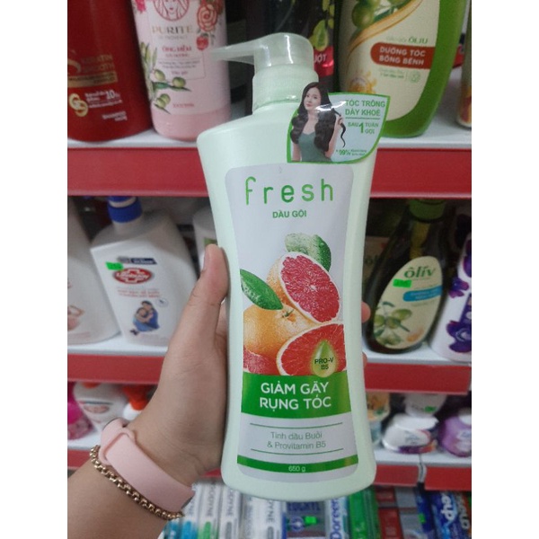 DẦU GỘI FRESH BƯỞI / BỒ KẾT MẪU MỚI 650G