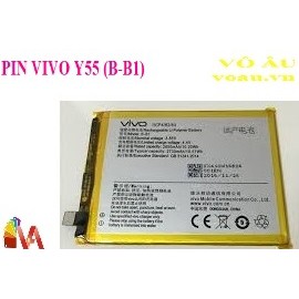 PIN VIVO B-B1
