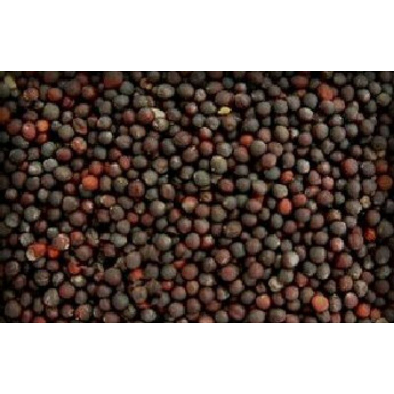 Hạt Giống Cải Xanh Mỡ, Chất Lượng F1 - gói 10g