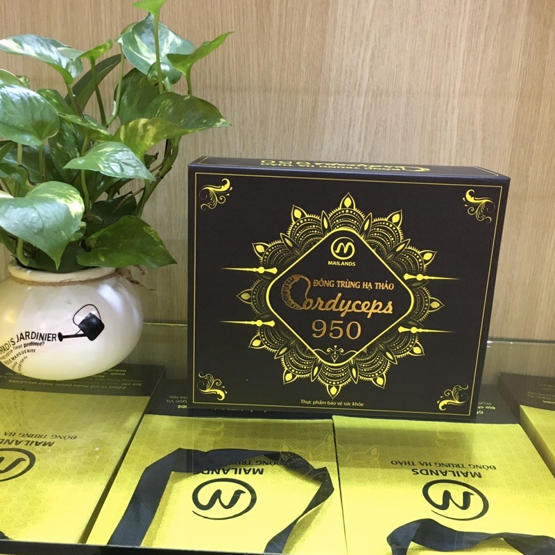 Đông Trùng Hạ Thảo Cordyceps Mailands 950 (Hộp 60 viên | BigBuy360 - bigbuy360.vn