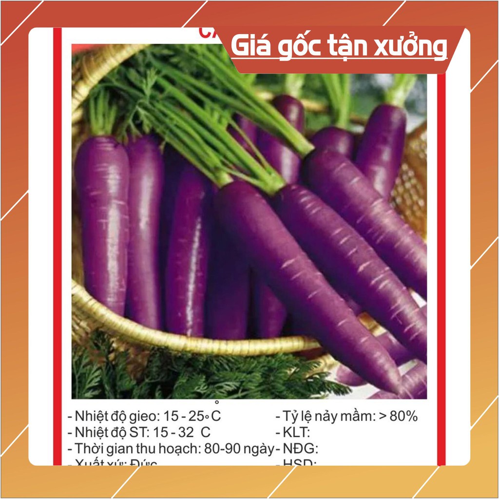 Hạt giống Cà Rốt Tím 0.1Gram Hạt giống
