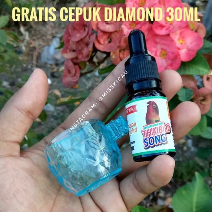 Áo thun họa tiết độc đáo thời trang Thái Lan
