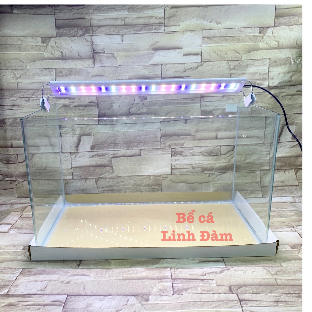 Bể Cá Chữ Nhật 50cm Kính Đúc Bo Góc Đẹp - Bể Cá Mini Dài 50cm