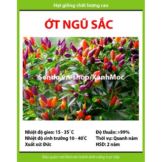 Hạt giống Ớt ngũ sắc