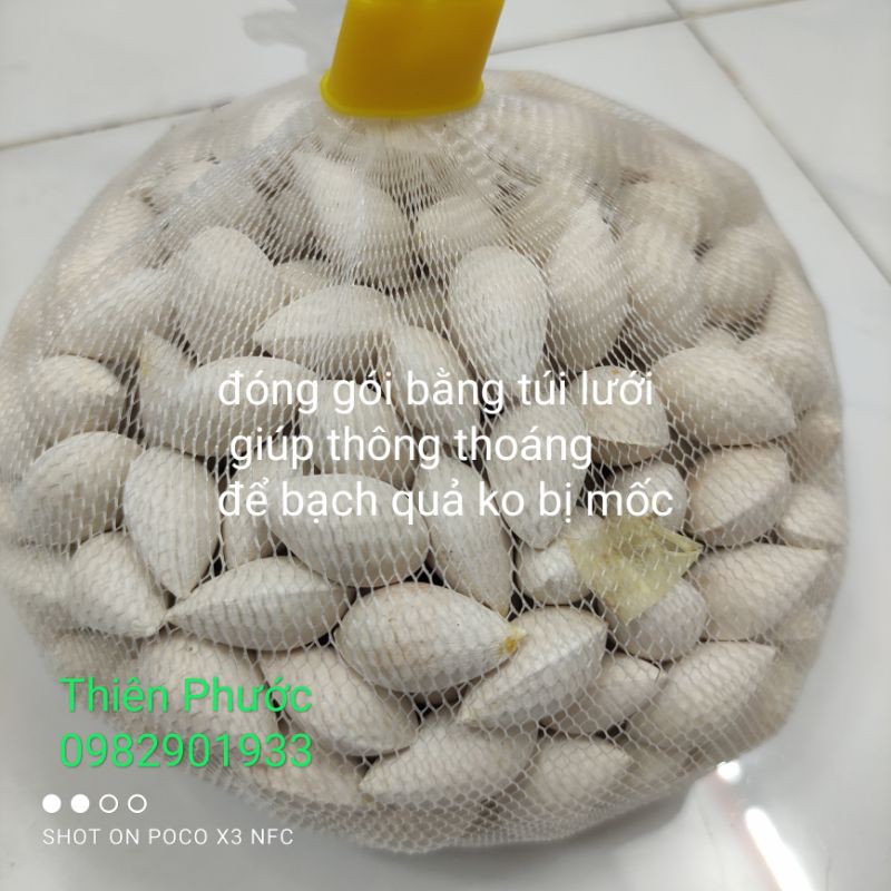 bạch quả loại hạt to, nấu chè - chưng yến - 500g