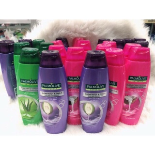 Dầu gội có dầu xả Palmolive