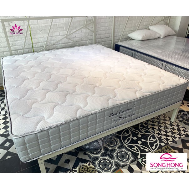 Nệm Sông Hồng Back Essential dòng 2 tấm cao cấp