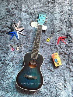 ĐÀN UKULELE CONCERT ANDREW XANH MS14
