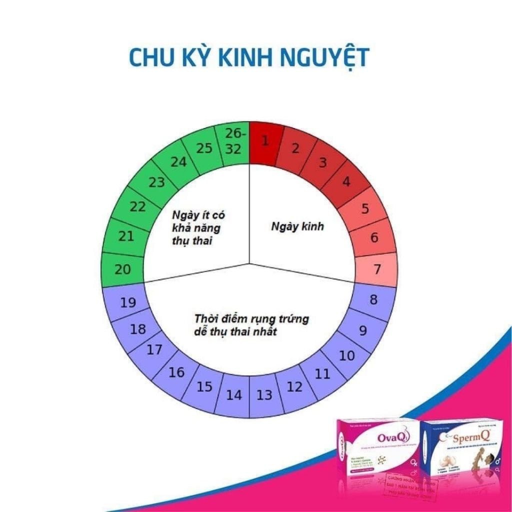 OvaQ1 - Giải pháp giảm vô sinh ở nữ giới - Phân phối chính hãng Hộp 60 viên