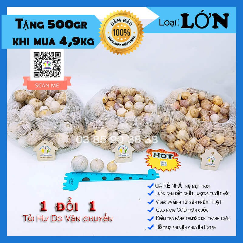 1 kg tỏi cô đơn Việt Nam loại LỚN ngon lành, tỏi 1 nhánh Hải Dương, tỏi mồ côi bón phân sinh học cực tốt cho sức khỏe