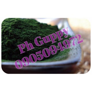 50gr Tảo bột Spirulina - Cung cấp vitamin, tiêu hóa cho cá - Thức ăn nuôi Artemia, bobo
