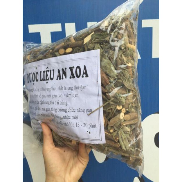 Cây an xoa 1 kg