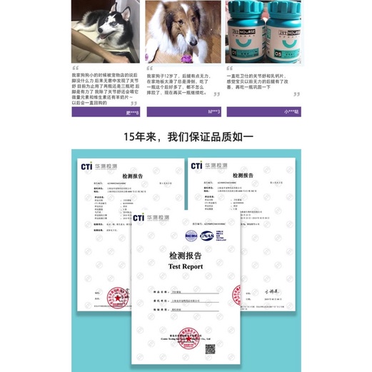 Combo Nourse cho mèo con phát triển toàn diện tăng cân bổ sung dinh dưỡng Surica