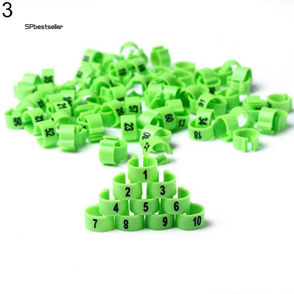 100 Vòng đeo chân chim bồ câu bằng nhựa nhiều màu sắc