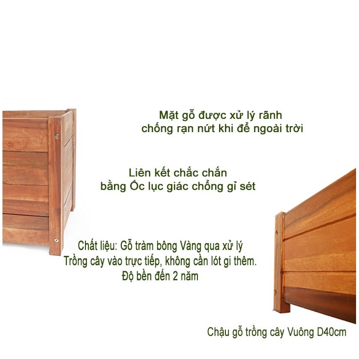 Chậu gỗ trồng cây, hình vuông, D40xR40xC40cm, gỗ Tràm chịu nước, tặng 2 hộp dưỡng hoa tươi lâu |Greenhome