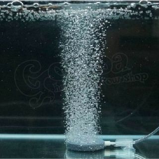 Đĩa sủi oxy cho hồ cá (đường kính 6cm/8cm)