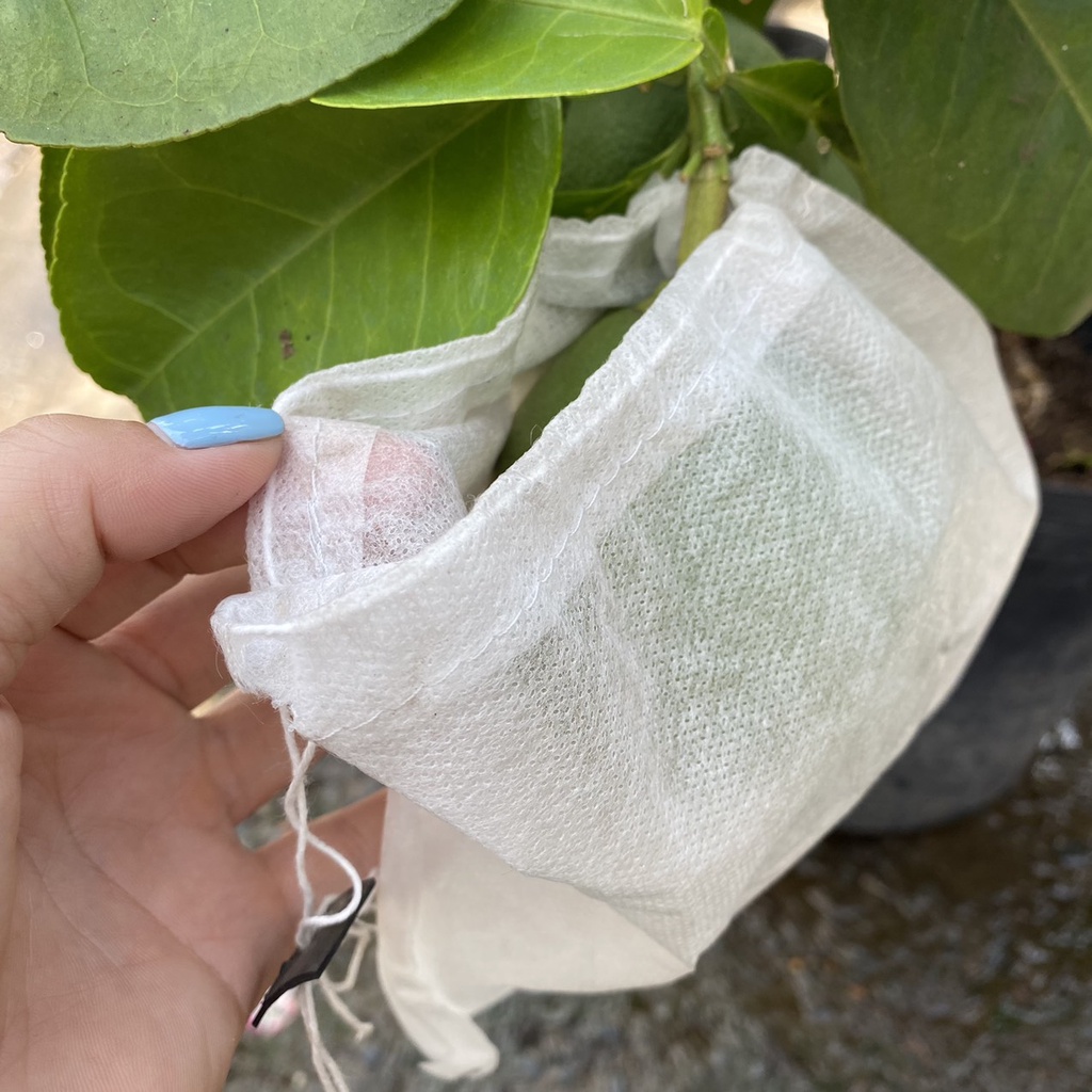 10 túi vải bọc trái cây tránh côn trùng, ong ruồi châm chích