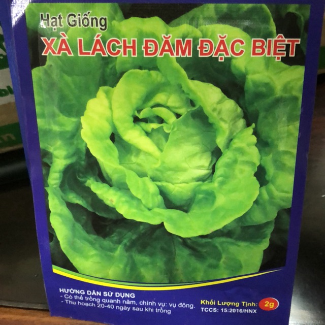 Hạt giống Xà lách đăm Đặc biệt/ cao sản (2 gr)