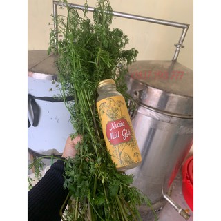 THẢO DƯỢC MÙI GIÀ