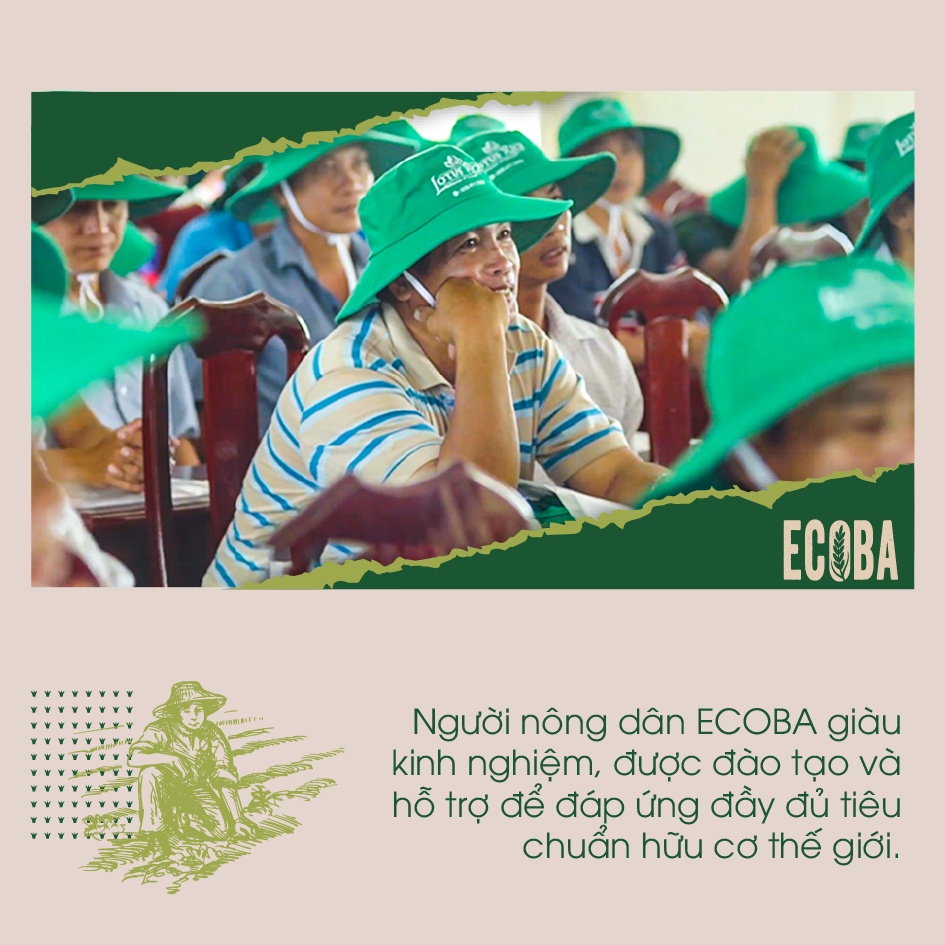 Gạo hữu cơ cao cấp/ECOBA Ngọc Mễ 1kg