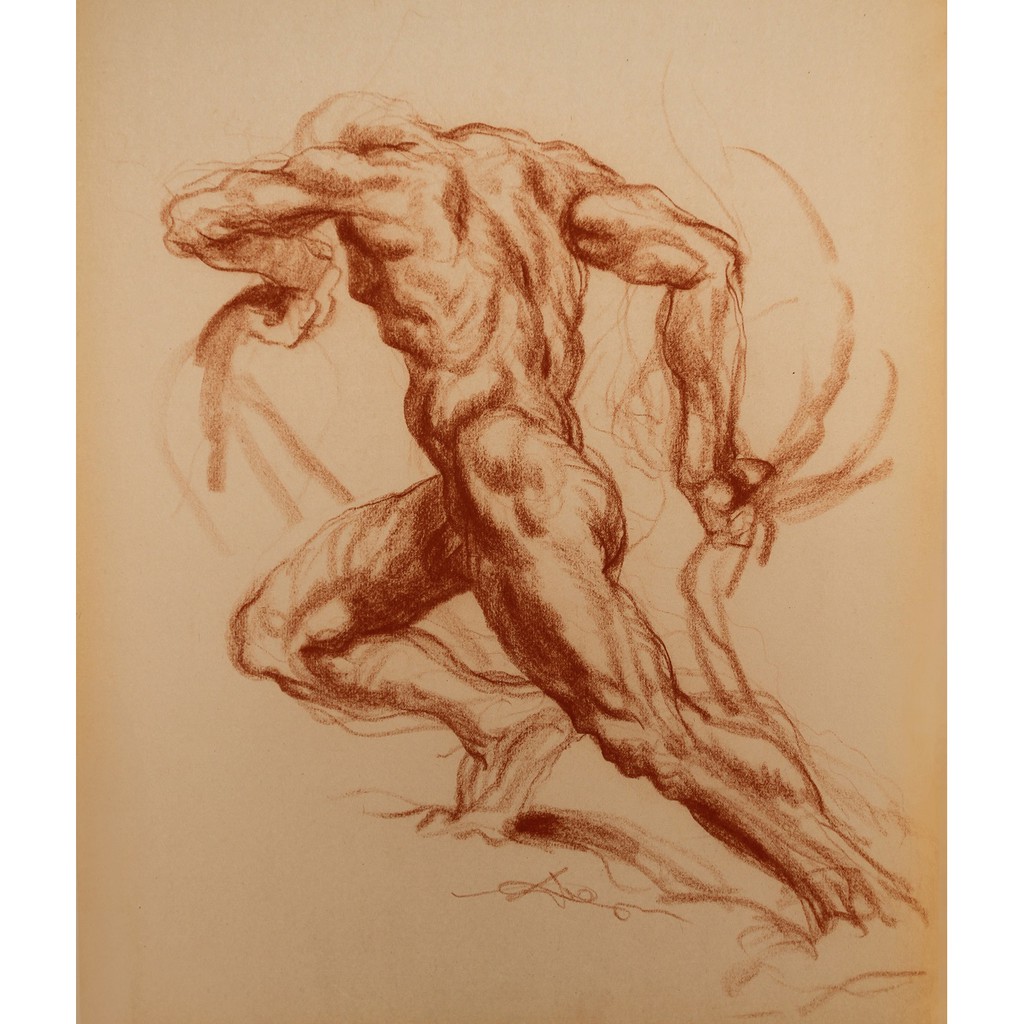 Chì dầu vẽ dessin Cretacolor Sanguine, White Chalk, Sepia Light, Sepia Dark