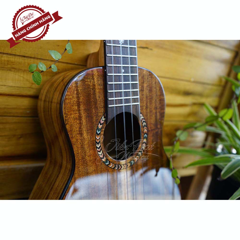 Đàn Ukulele Sqoe SQ-2410C, SQ-2420C, SQ-2430C Chế Tác Thủ Công Tỉ Mỉ, Tinh Xảo