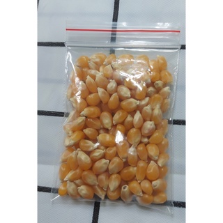 set bỏng ngô/bắp rang bơ + bơ