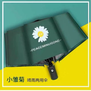 Ô dù HOA CÚC đóng mở tự động