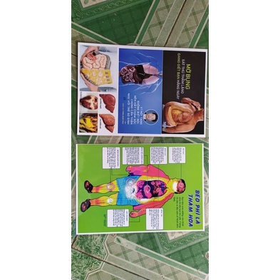 Tờ A4 ép plastic trang trí nhóm dinh dưỡng