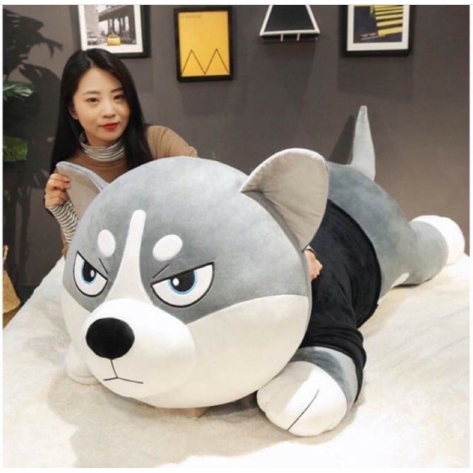 Chó Husky Gấu Bông Chó Ngáo Cute, Husky To, hàng nhập loại 1 cao cấp VIP