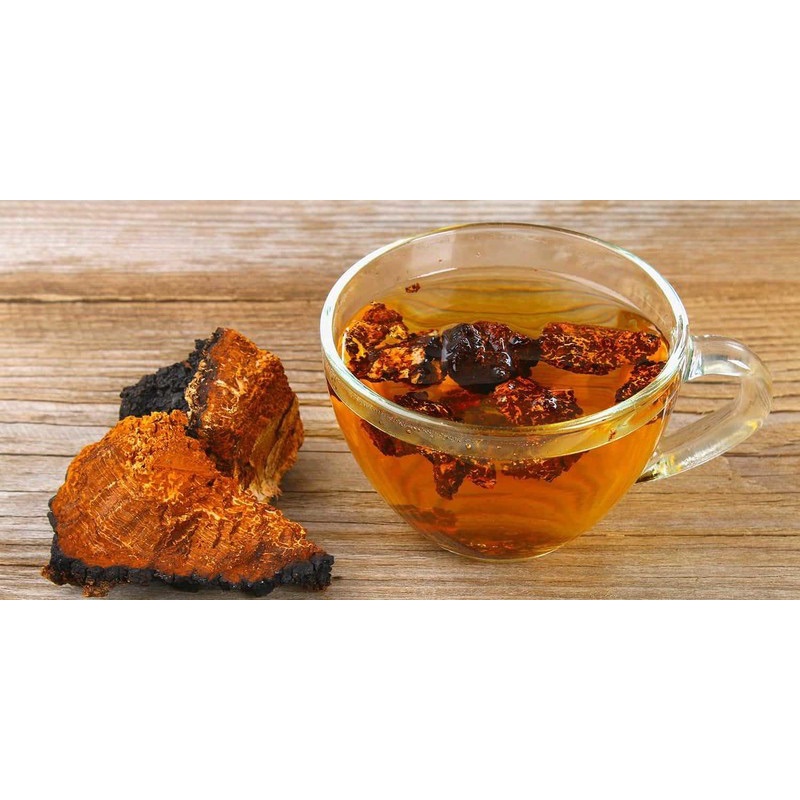 trà thảo dược nấm chaga( linh chi đen siberia nga )