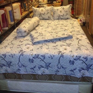 Bộ 2 ga chun và 4 vỏ gối Polly cotton (Chat chọn mẫu) Bonbishop