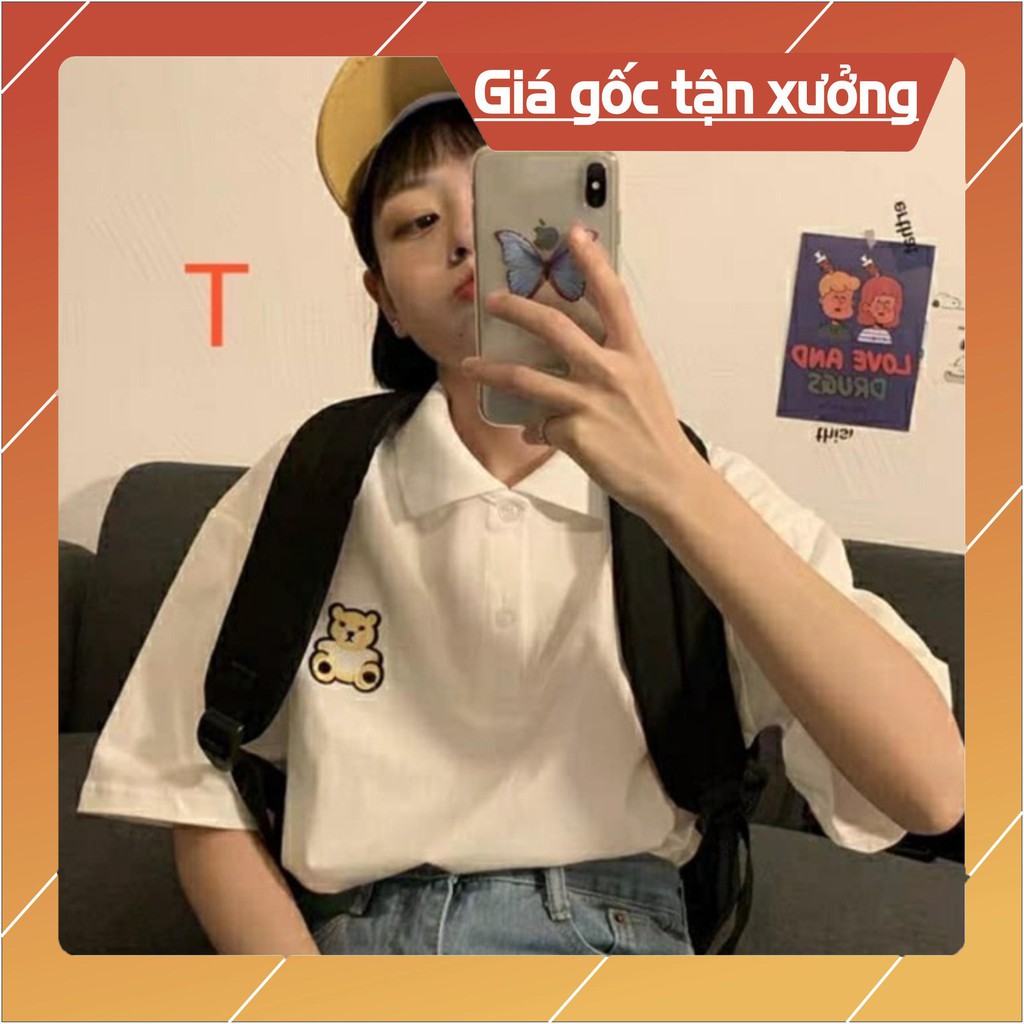 Áo polo in gấu nhỏ TT12