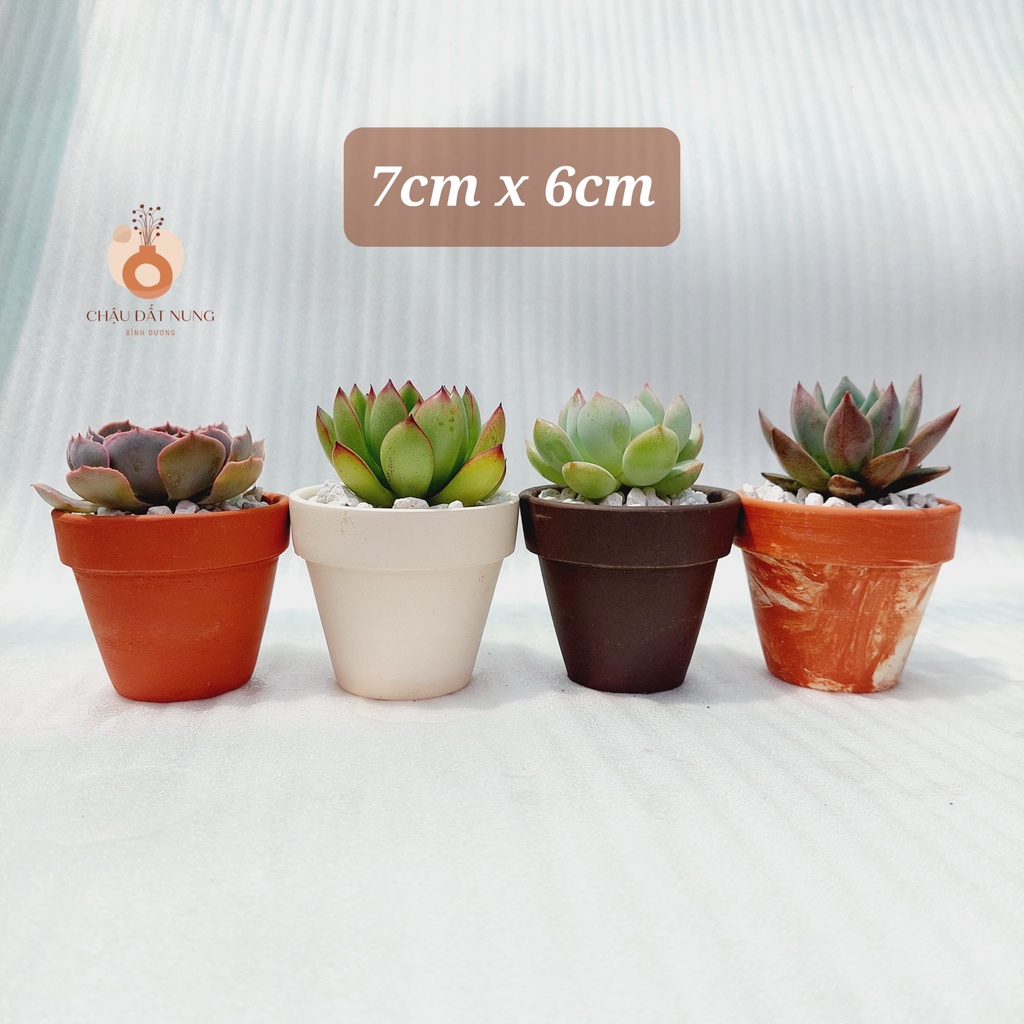 Chậu đất nung, Chậu sen đá - Chậu ly có gờ 76, miệng chậu 7cm, chiều cao 6cm [BESTSELLERS]
