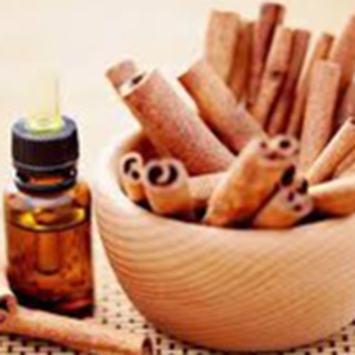 Tinh Dầu Vỏ Quế ( Cinnamon Essential Oil )